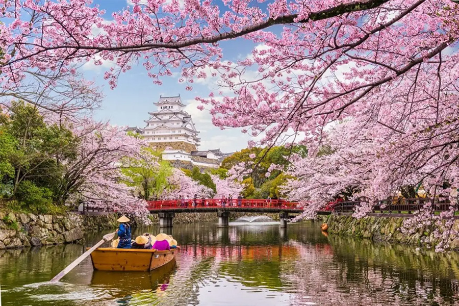 Khám phá xứ sở hoa anh đào - Du lịch Nhật Bản cùng Hamaco Nhân Lực